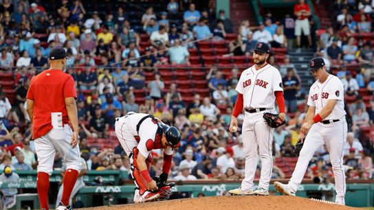BSJ Game Report: Brewers 9, Red Sox 4 - Still slumping taken at Fenway Park  (Red Sox)